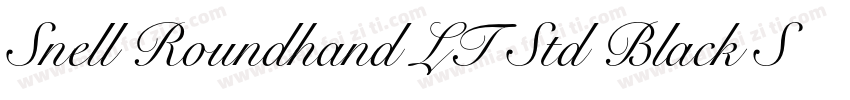 Snell Roundhand LT Std Black Script字体转换